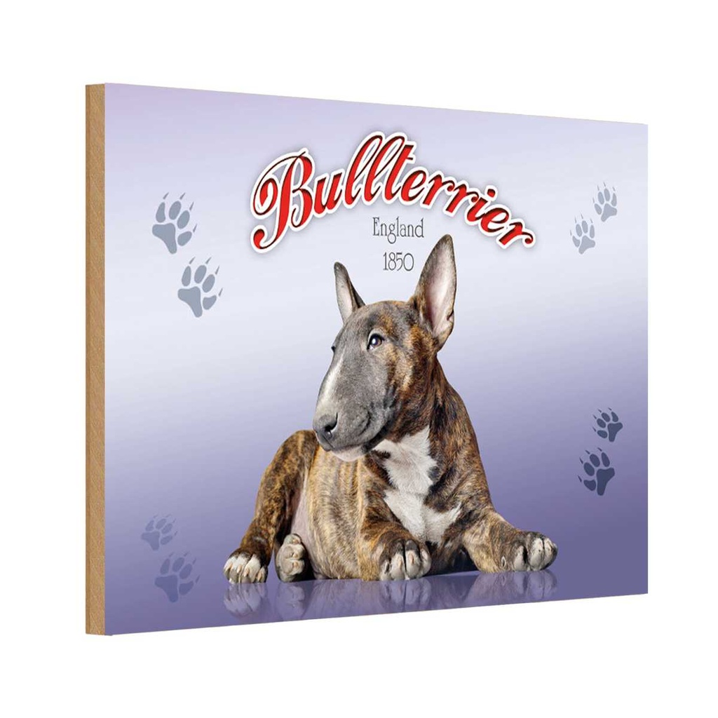 Holzschild 12x18 cm Hund Bullterrier England 1850 Tier Haustier