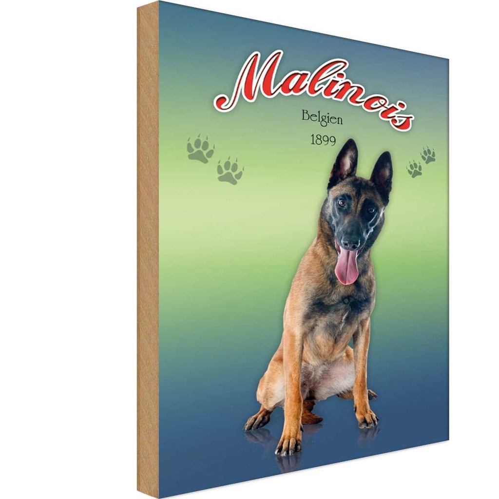 Holzschild 18x12 cm Hund Malinois Belgien 1899 Tier Haustier