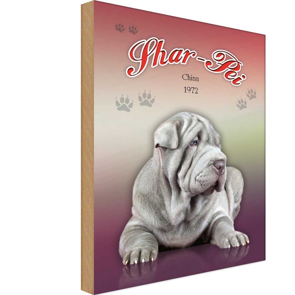 Holzschild 18x12 cm Hund Shar-Pei China 1972 Tier Haustier