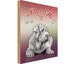 Holzschild 18x12 cm Hund Shar-Pei China 1972 Tier Haustier
