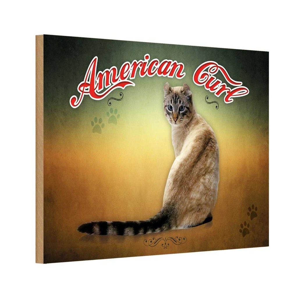 Holzschild 12x18 cm Katze American Curl Tier Haustier