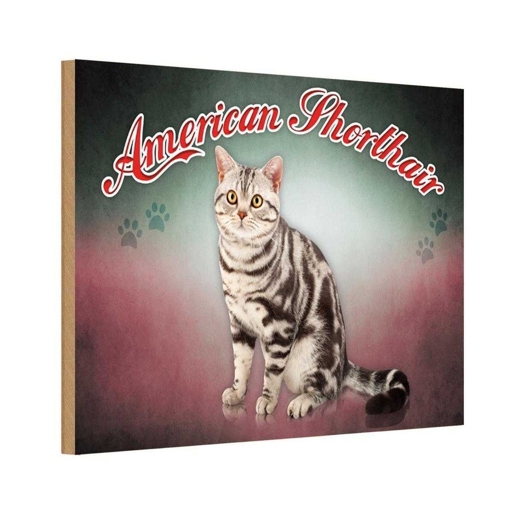 Holzschild 12x18 cm Katze American Shorthair Tier Haustier