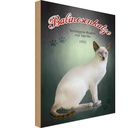 Holzschild 18x12 cm Katze Balinesenkatze Amerika 1950 Tier Haustier