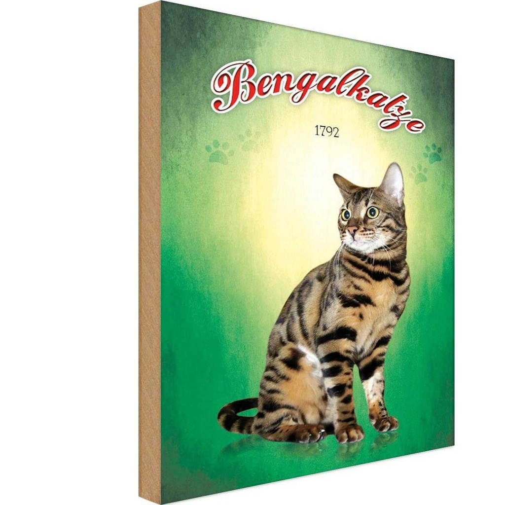 Holzschild 18x12 cm Katze Bengalkatze 1792 Tier Haustier
