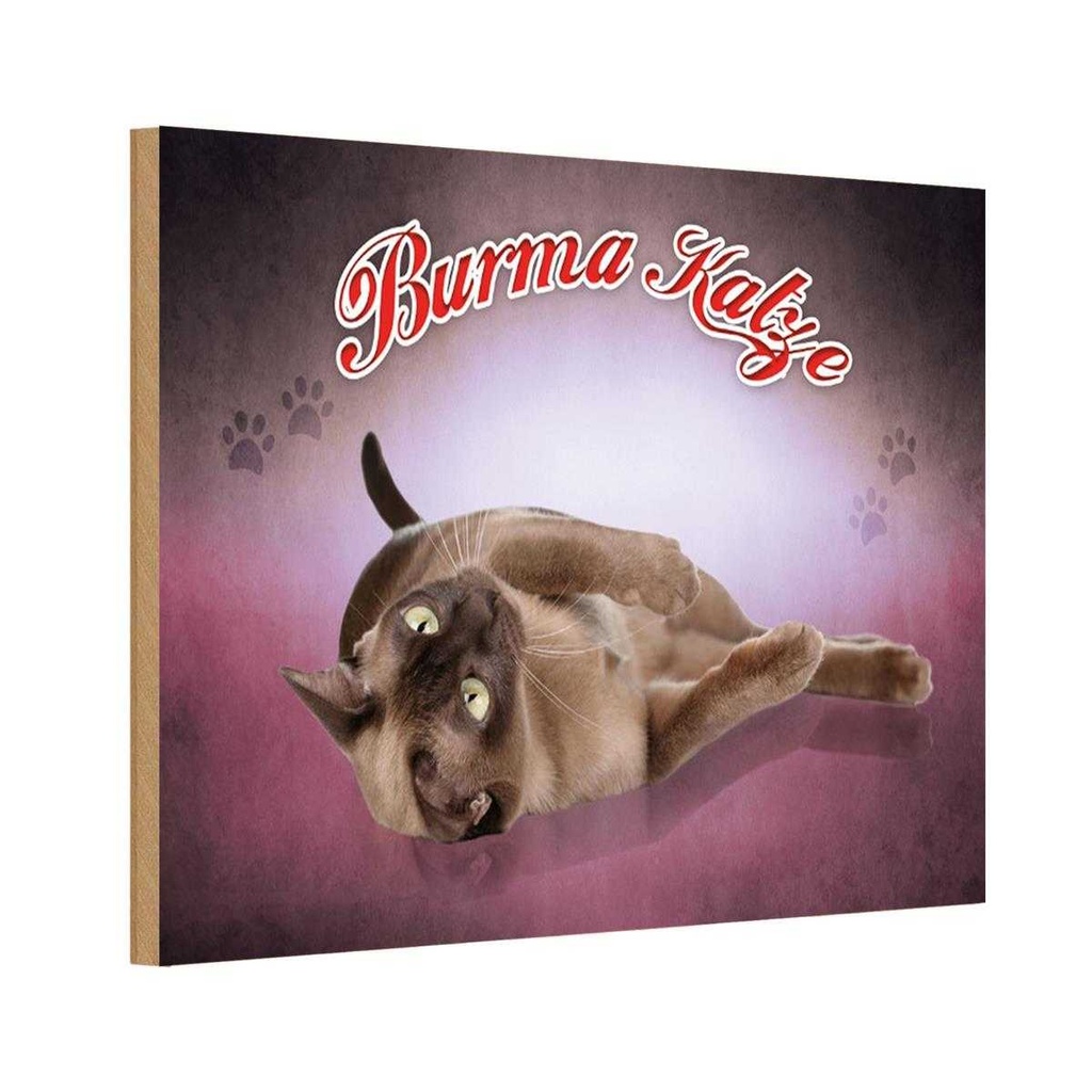 Holzschild 12x18 cm Katze Burma Tier Haustier