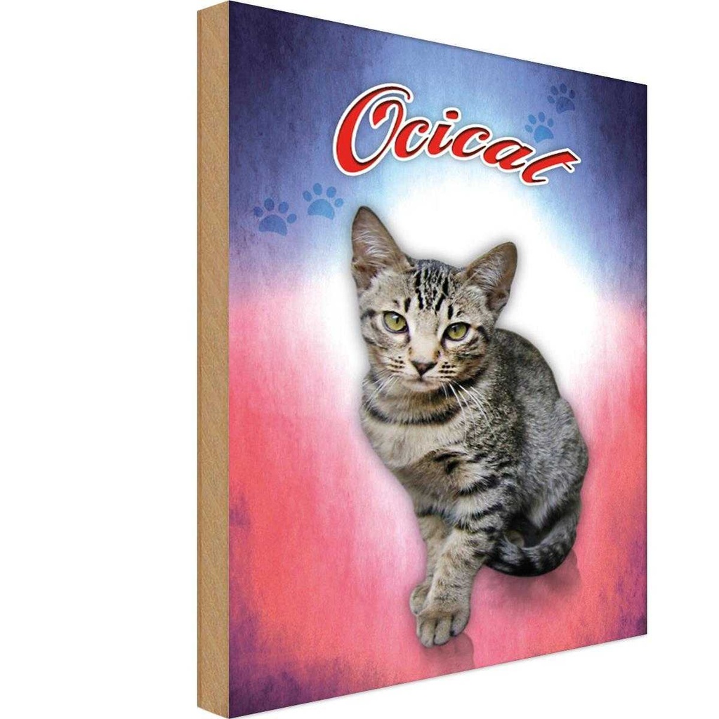 Holzschild 18x12 cm Katze Ocicat Tier Haustier