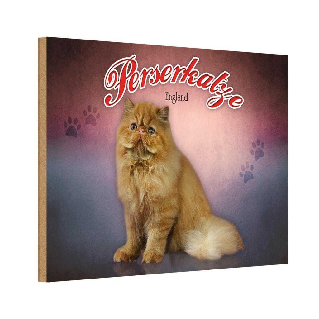Holzschild 12x18 cm Katze Perserkatze England Tier Haustier