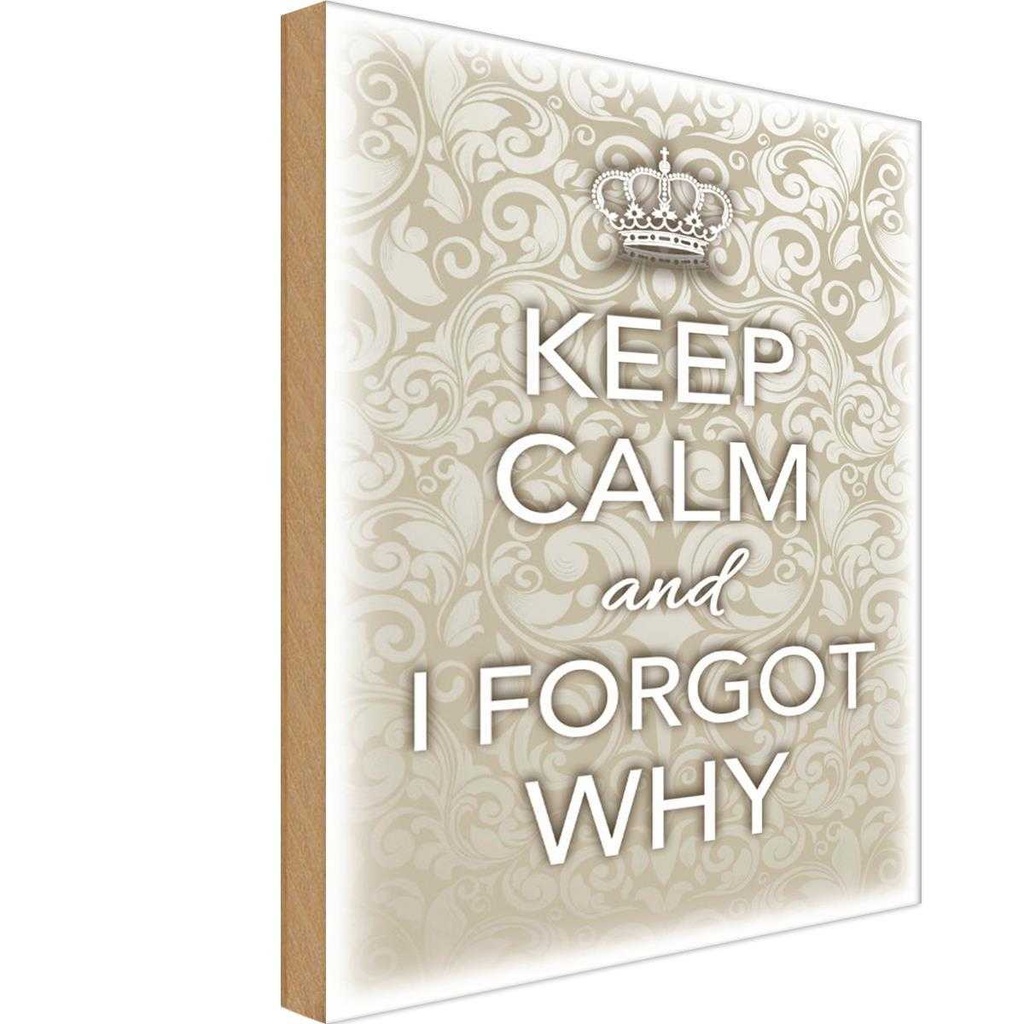 Holzschild 18x12 cm Keep Calm and i forgot why