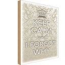 Holzschild 18x12 cm Keep Calm and i forgot why