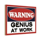 Holzschild 12x18 cm Warning Genius at work Warnschild Hinweisschild