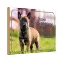 Holzschild 12x18 cm Hunde sind Gottes Entschädigung Tier Haustier