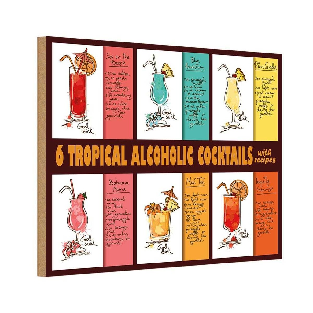 Holzschild 12x18 cm Alkohol 6 tropical cocktails recipes