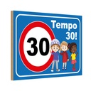 Holzschild 12x18 cm Tempo 30 Kinder Straßenschild