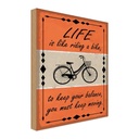 Holzschild 18x12 cm Life is like riding a bike Spruch Zitat