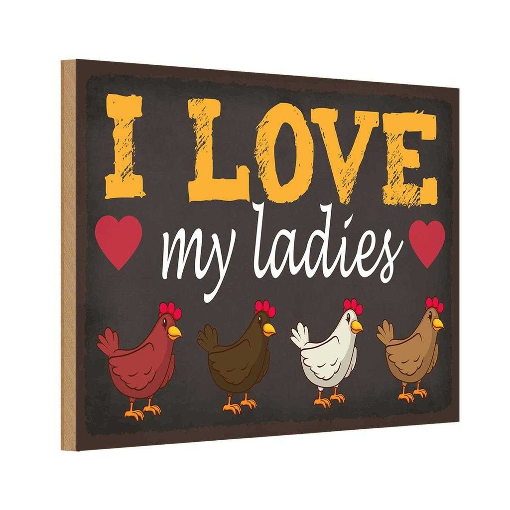 Holzschild 12x18 cm Hühner i love my ladies Tier Haustier