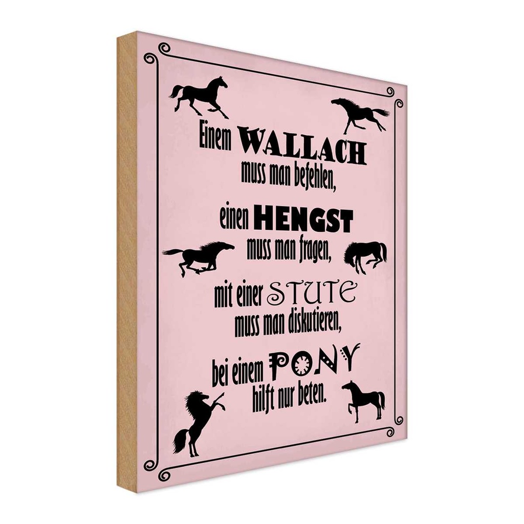 Holzschild 18x12 cm Pferde Wallah Hengst Pony Stute Tier Haustier