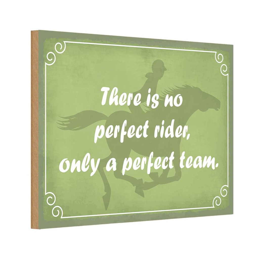 Holzschild 12x18 cm there is no perfect rider only Dekoration