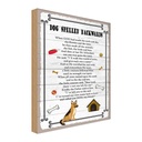 Holzschild 18x12 cm Dog spelled backwards my friend Tier Haustier