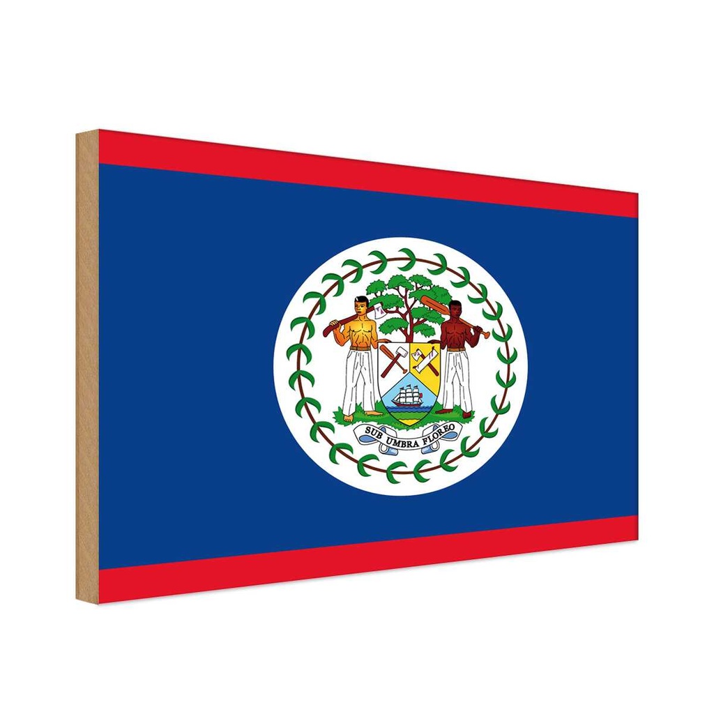 Holzschild 12x18 cm Belizes Belize Flagge Fahne Wappen