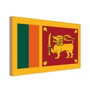 Holzschild 12x18 cm Sri Lankas Lanka Flagge Fahne Wappen