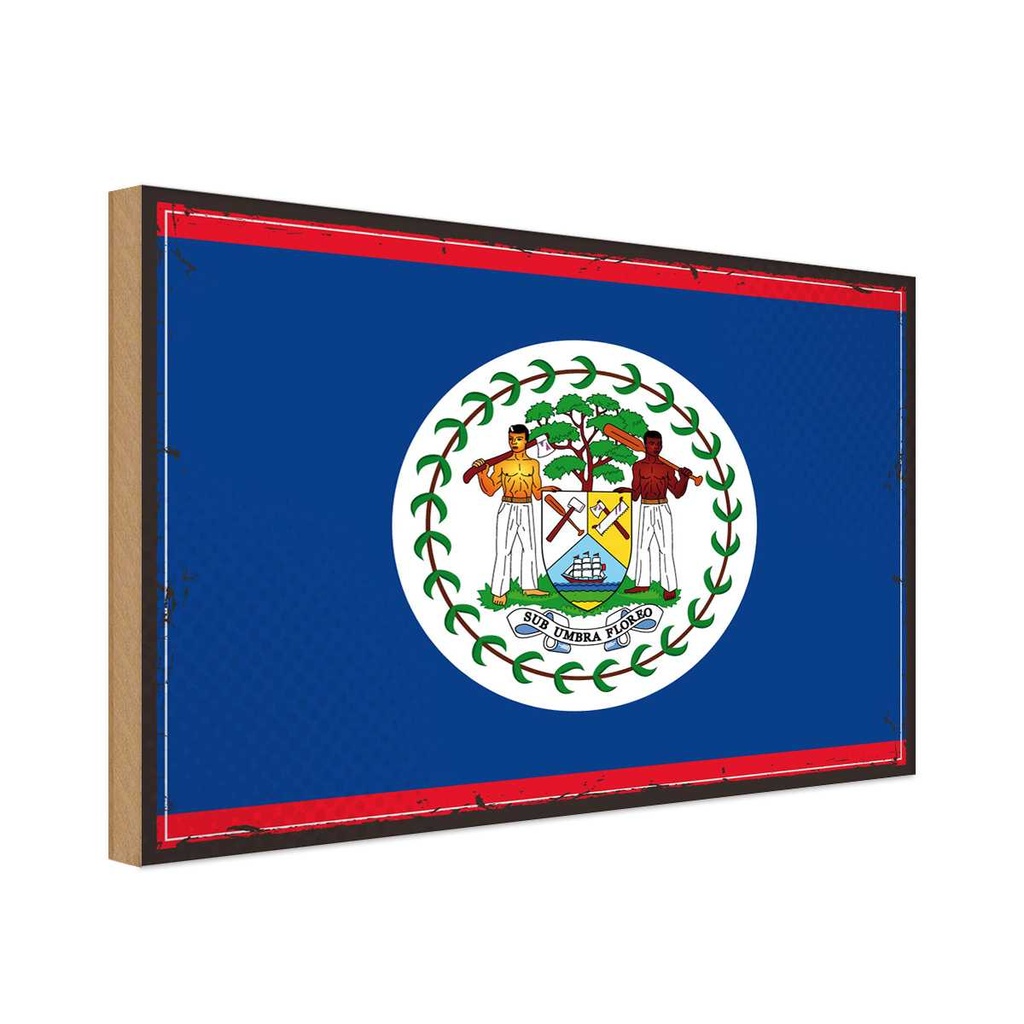 Holzschild 12x18 cm Belizes Belize Flagge Fahne Wappen
