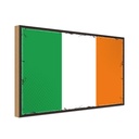 Holzschild 12x18 cm Irlands Ireland Flagge Fahne Wappen