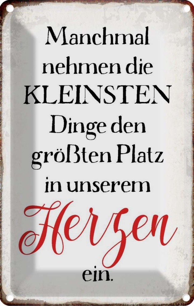 Blechschild 30x20 cm die kleinsten Dinge größte Platz Spruch Zitat