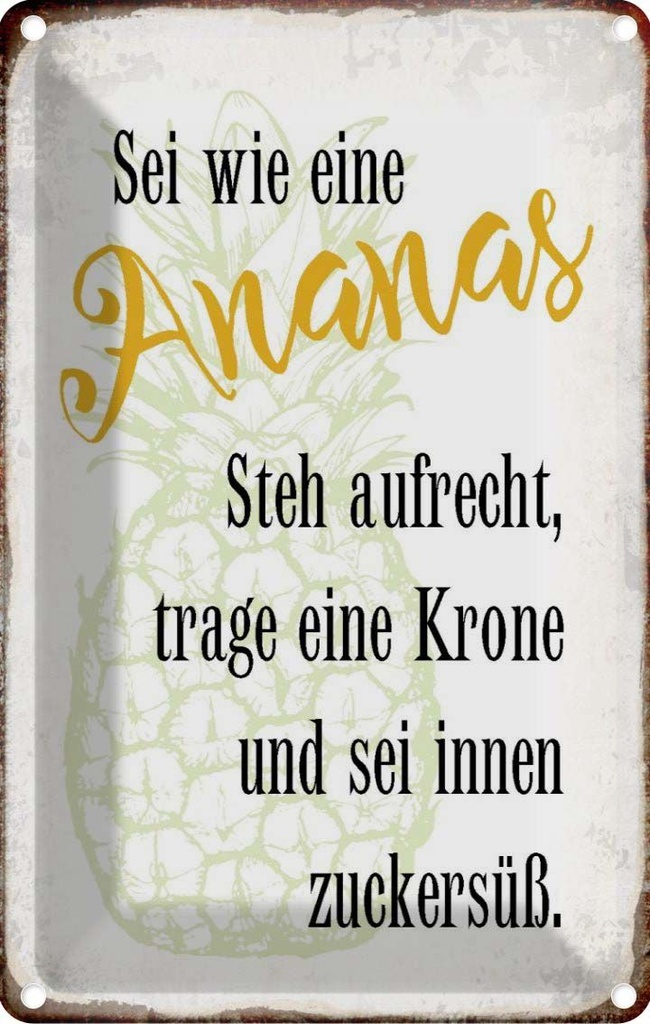 Blechschild 30x20 cm sei Ananas aufrecht zuckersüß Dekoration Spruch Zitat