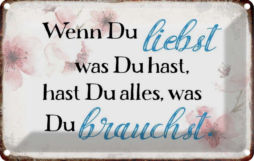 Blechschild 20x30 cm wenn du liebst was hast Spruch Zitat