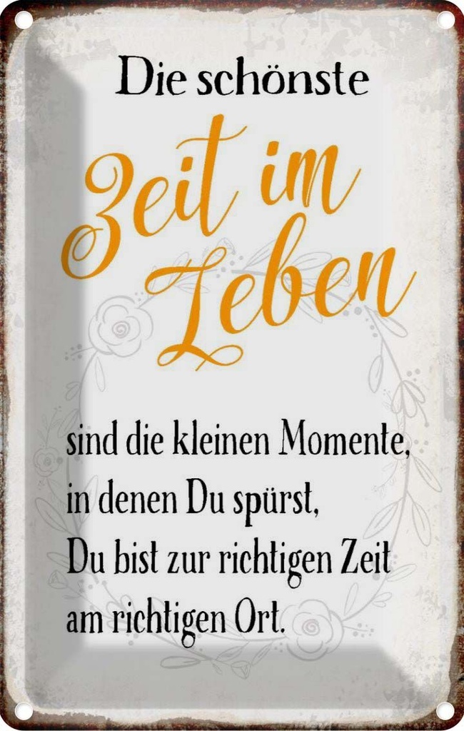 Blechschild 30x20 cm die schönste Zeit im Leben sind Spruch Zitat