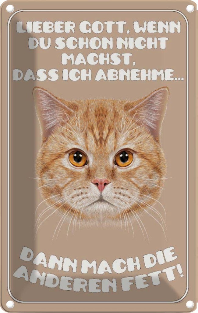 Blechschild 30x20 cm Katze lieber Gott wenn du schon nicht Tier Haustier