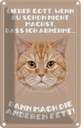 Blechschild 30x20 cm Katze lieber Gott wenn du schon nicht Tier Haustier