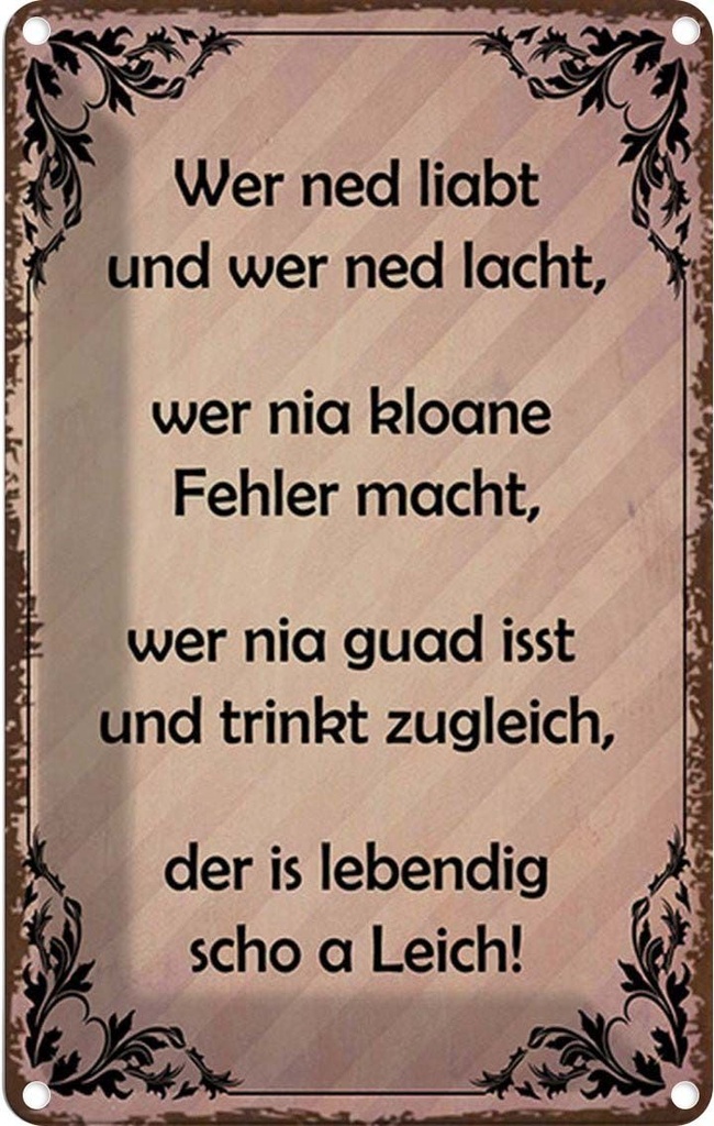 Blechschild 30x20 cm wer ned liabt und lacht Spruch Zitat
