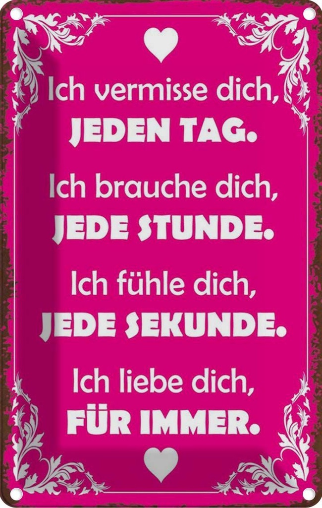 Blechschild 30x20 cm ich vermisse dich jeden Tag Dekoration Spruch Zitat
