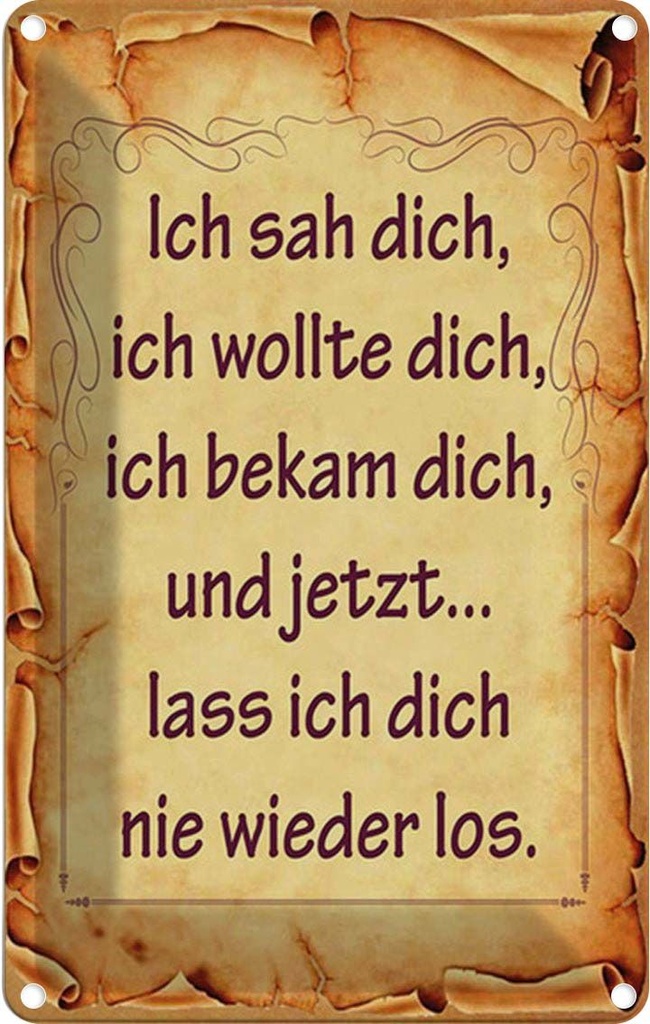 Blechschild 30x20 cm ich sah dich bekam und Spruch Zitat