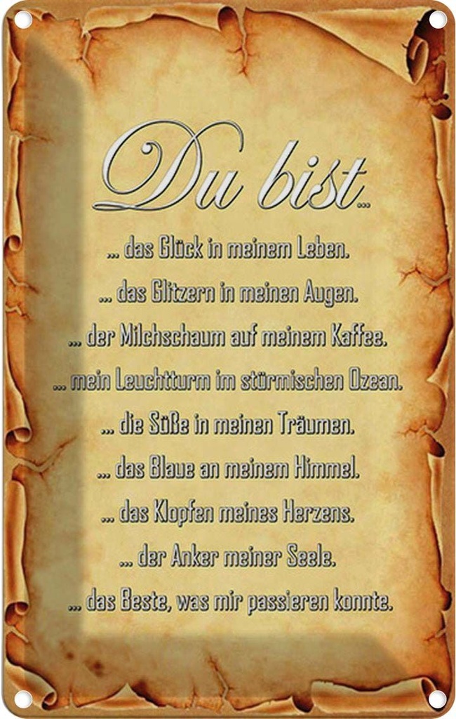 Blechschild 30x20 cm Du bist Glück in meinem Leben Dekoration Spruch Zitat