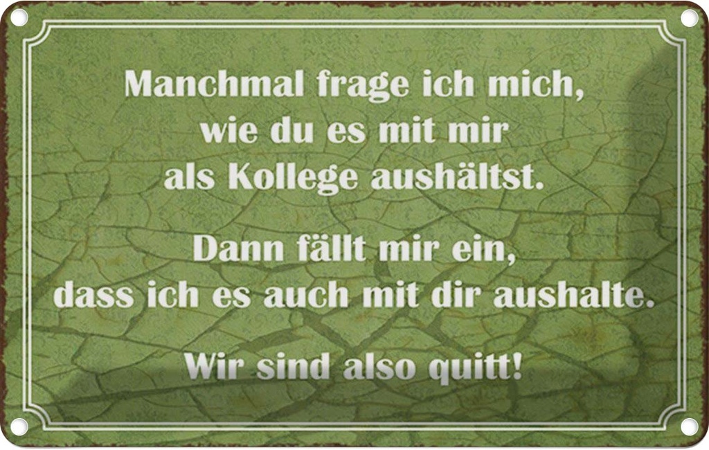 Blechschild 20x30 cm wie du mit mir als Kollege Dekoration Spruch Zitat