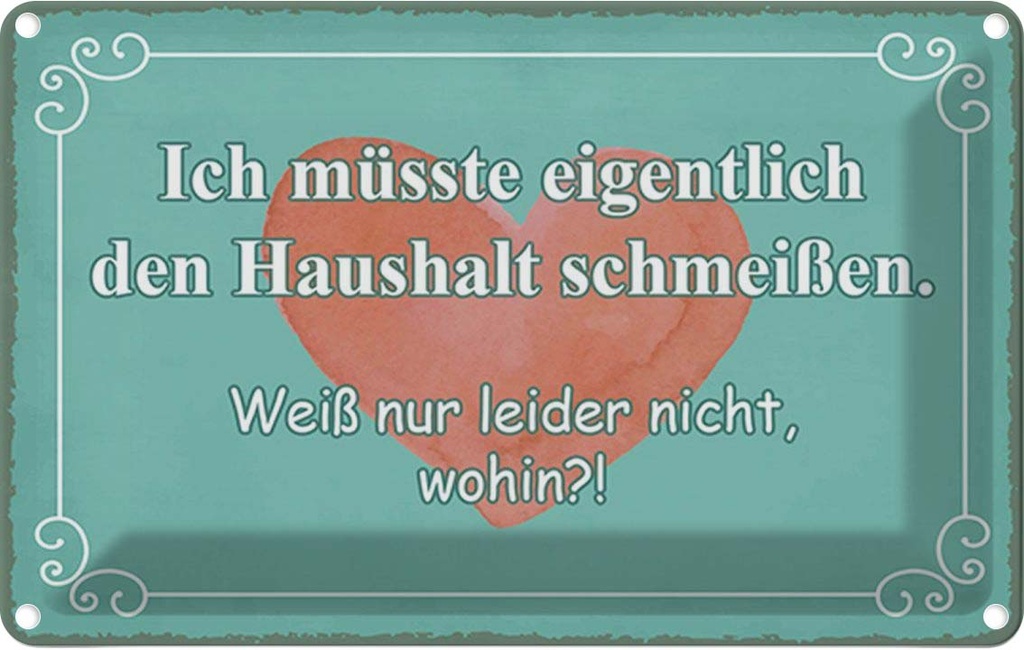 Blechschild 20x30 cm müsste Haushalt schmeißen wohin Spruch Zitat