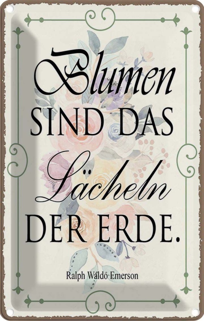 Blechschild 30x20 cm Blumen sind das Lächeln der Erde Spruch Zitat