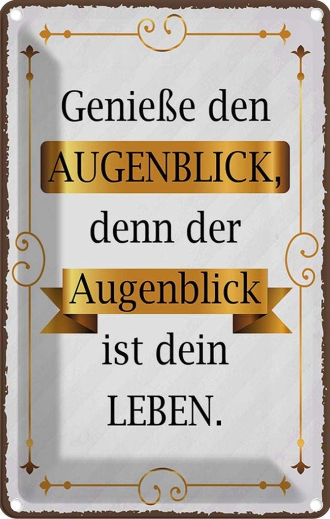 Blechschild 30x20 cm genieße den Augenblick denn Dekoration Spruch Zitat