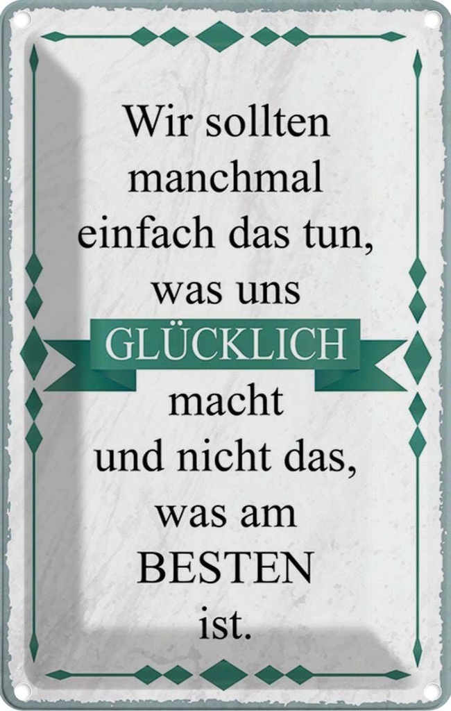 Blechschild 30x20 cm wir sollten tun was glücklich Dekoration