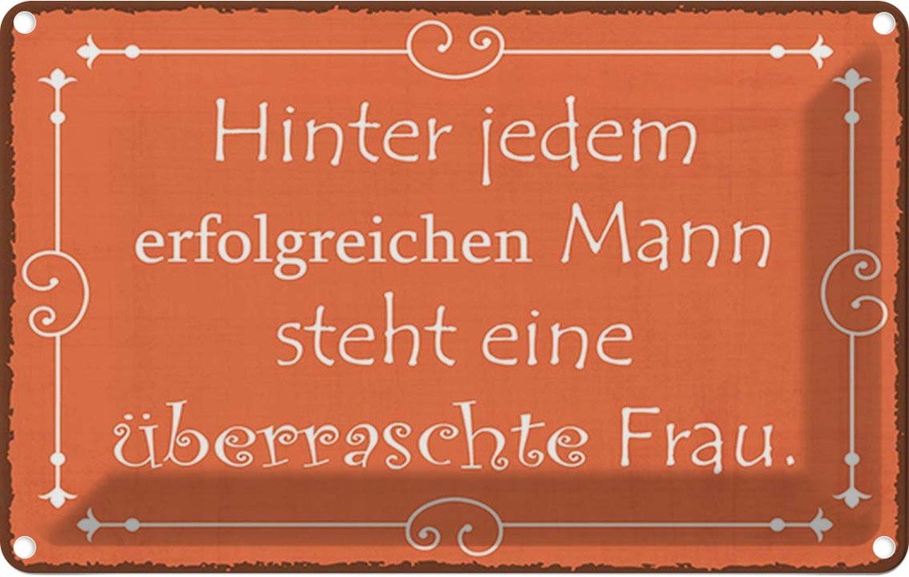 Blechschild 20x30 cm hinter jedem erfolgreichen Mann Spruch Zitat