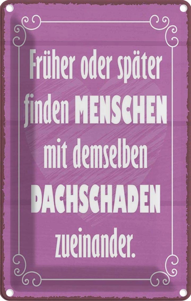 Blechschild 30x20 cm Menschen demselbe Dahschaden Dekoration Spruch Zitat