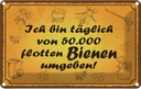 Blechschild 20x30 cm von 50000 flotten Bienen umgeben Spruch Zitat