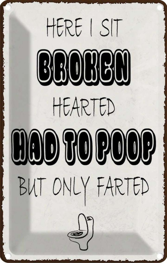 Blechschild 30x20 cm here i sit broken hearted came Dekoration