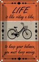 Blechschild 30x20 cm Life is like riding a bike Spruch Zitat
