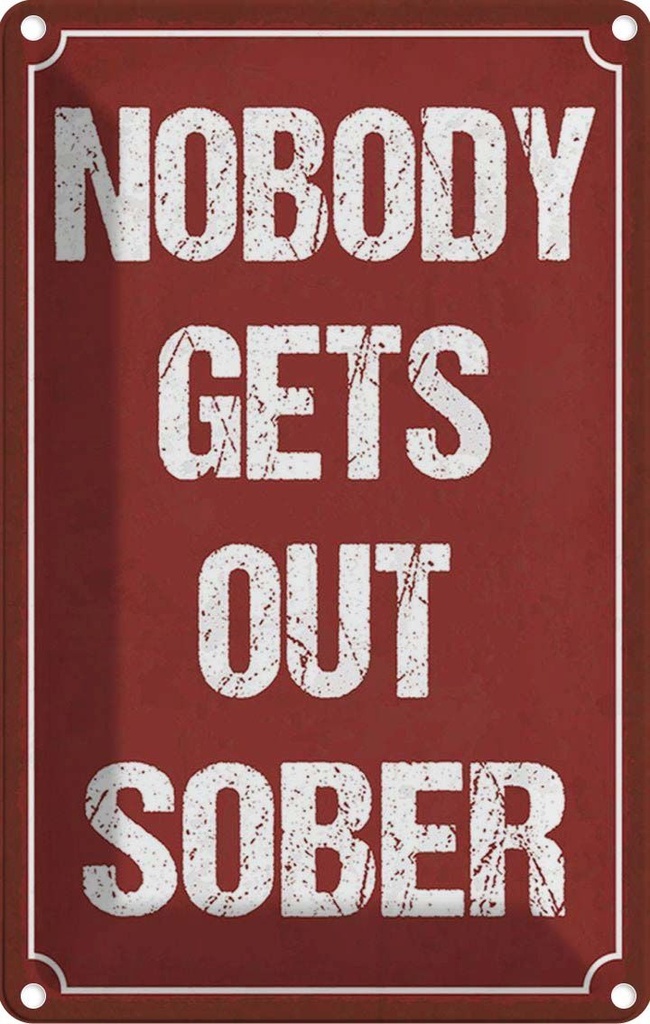 Blechschild 30x20 cm nobody gets out sober Alkohol Dekoration