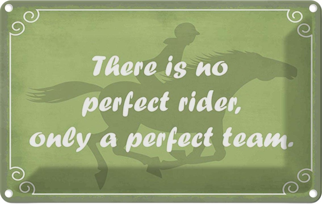 Blechschild 20x30 cm there is no perfect rider only Dekoration