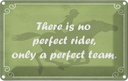 Blechschild 20x30 cm there is no perfect rider only Dekoration
