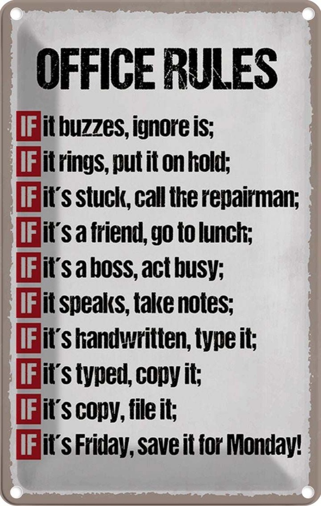 Blechschild 30x20 cm Office rules it buzzes ignore is Spruch Zitat